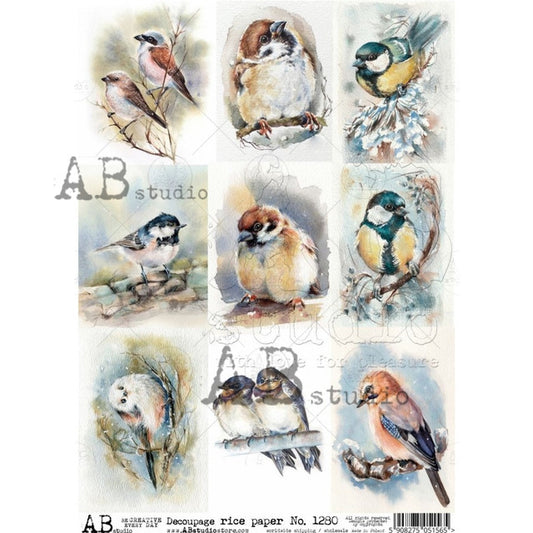 AB Studios 9 Pack Watercolor Birds A4 Rice Paper