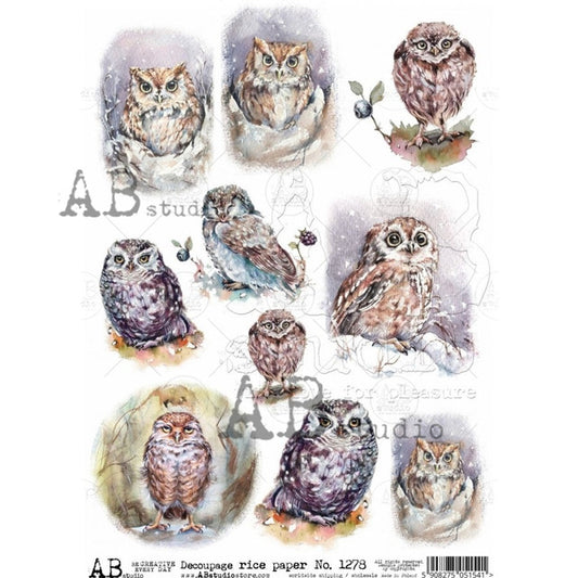 AB Studios 9 Pack Watercolor Owls A4 Rice Paper