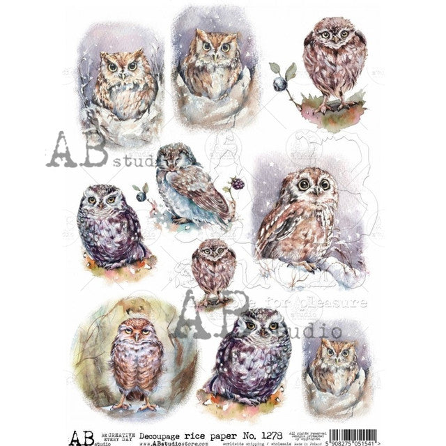 AB Studios 9 Pack Watercolor Owls A4 Rice Paper