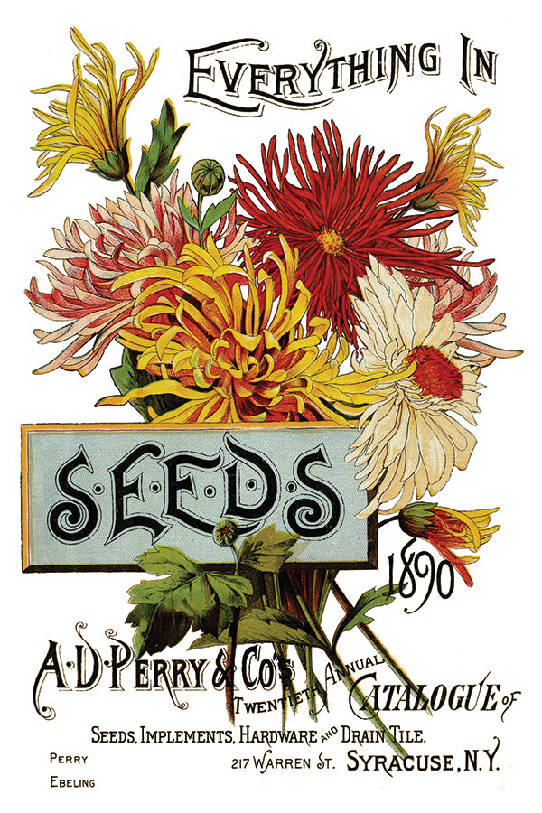 Seed Catalog TRANSFER 8×12 PAD™By IOD