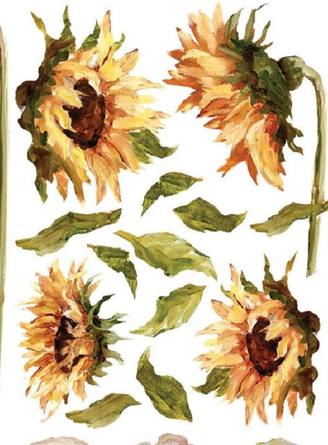 Painterly Florals Transfer, 8 page Transfer By IOD