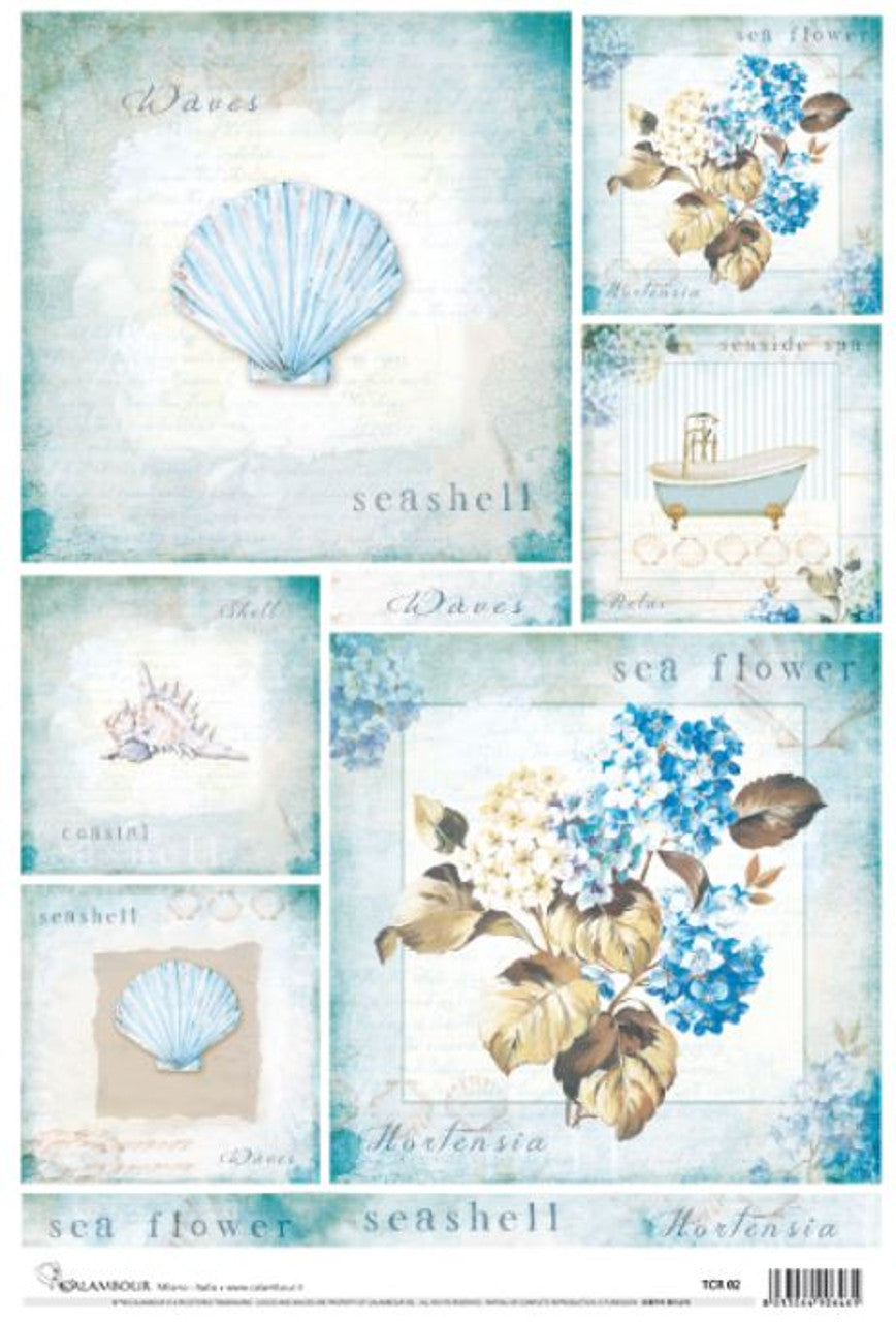 Calambour Hydrangea & Seashells Coastal Rice Paper A3 plus