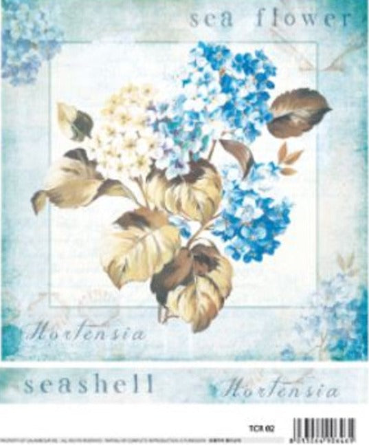 Calambour Hydrangea & Seashells Coastal Rice Paper A3 plus